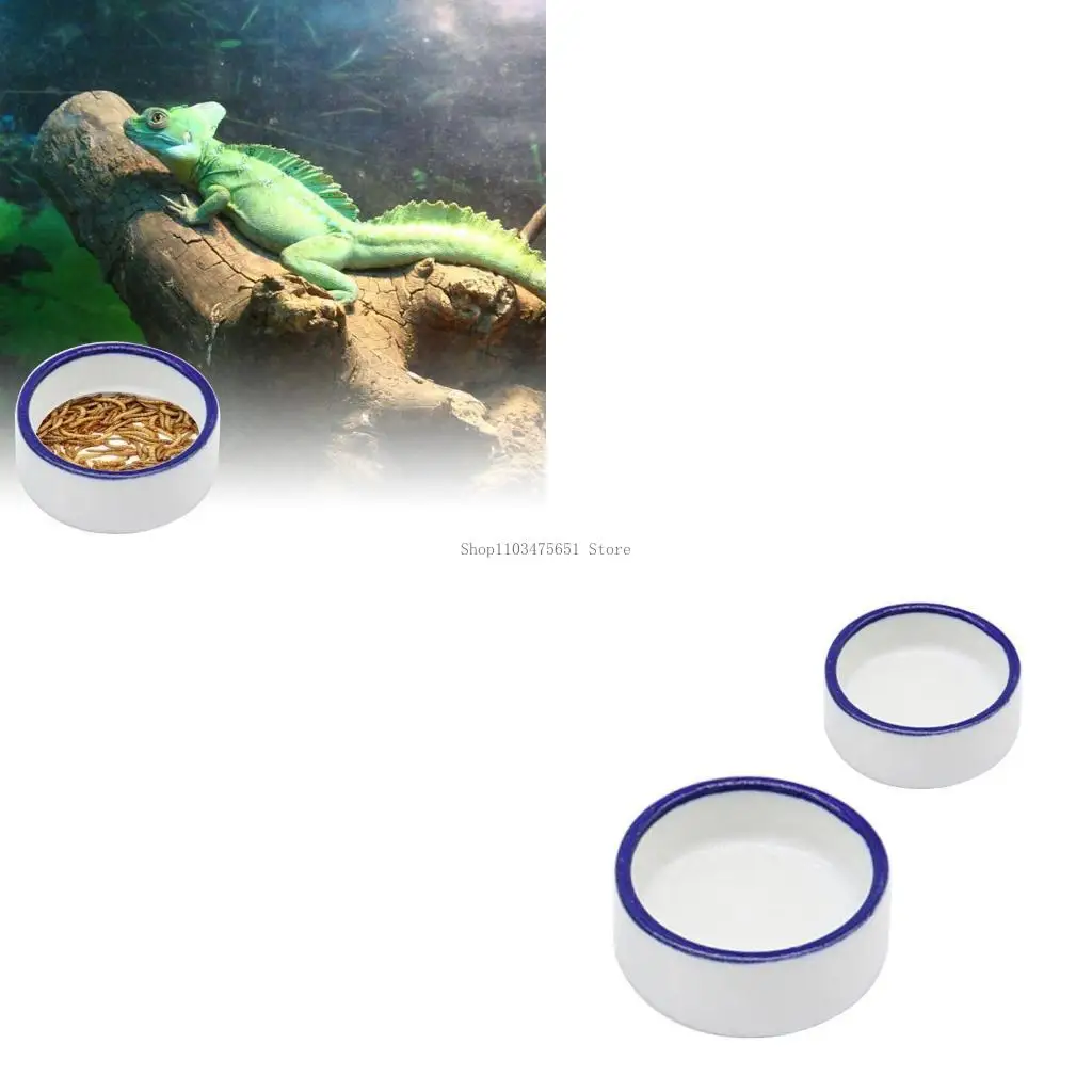 طبق دودة الزواحف، أطباق مياه عنكبوتية، وعاء طعام مستدير من السيراميك، أطباق للحيوانات الأليفة #1