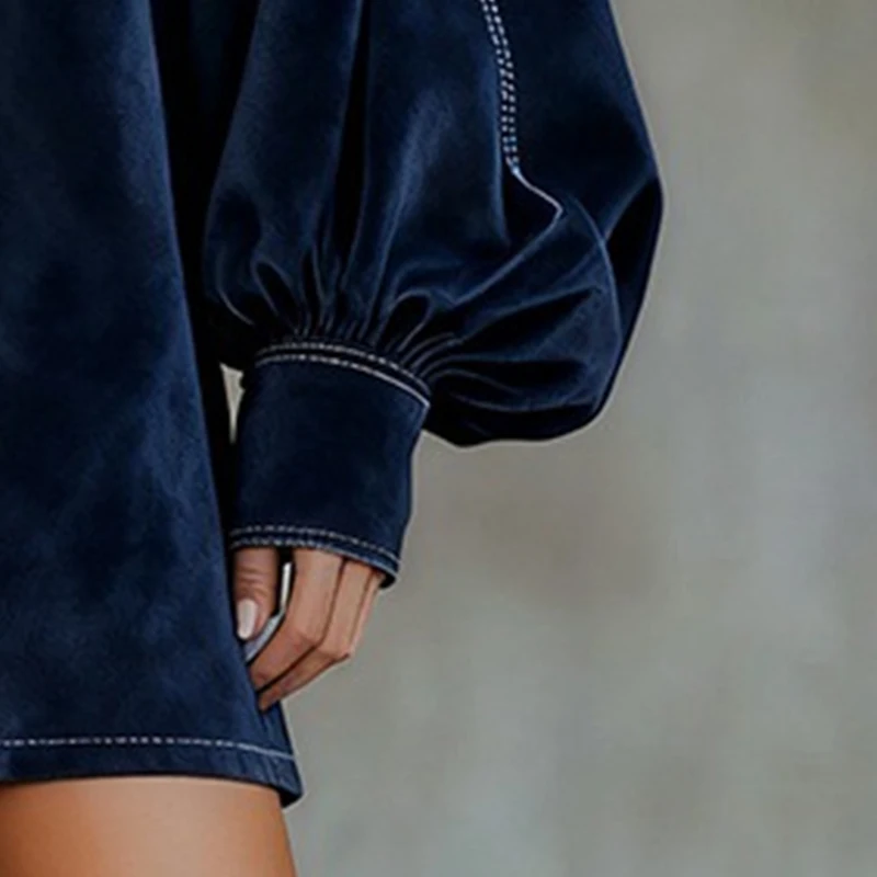 Fashion Retro Velvet Mini Dress High Collar Lantern Sleeve Long Sleeve Bow Tie Dress Elegant Loose Spring High Street Dress