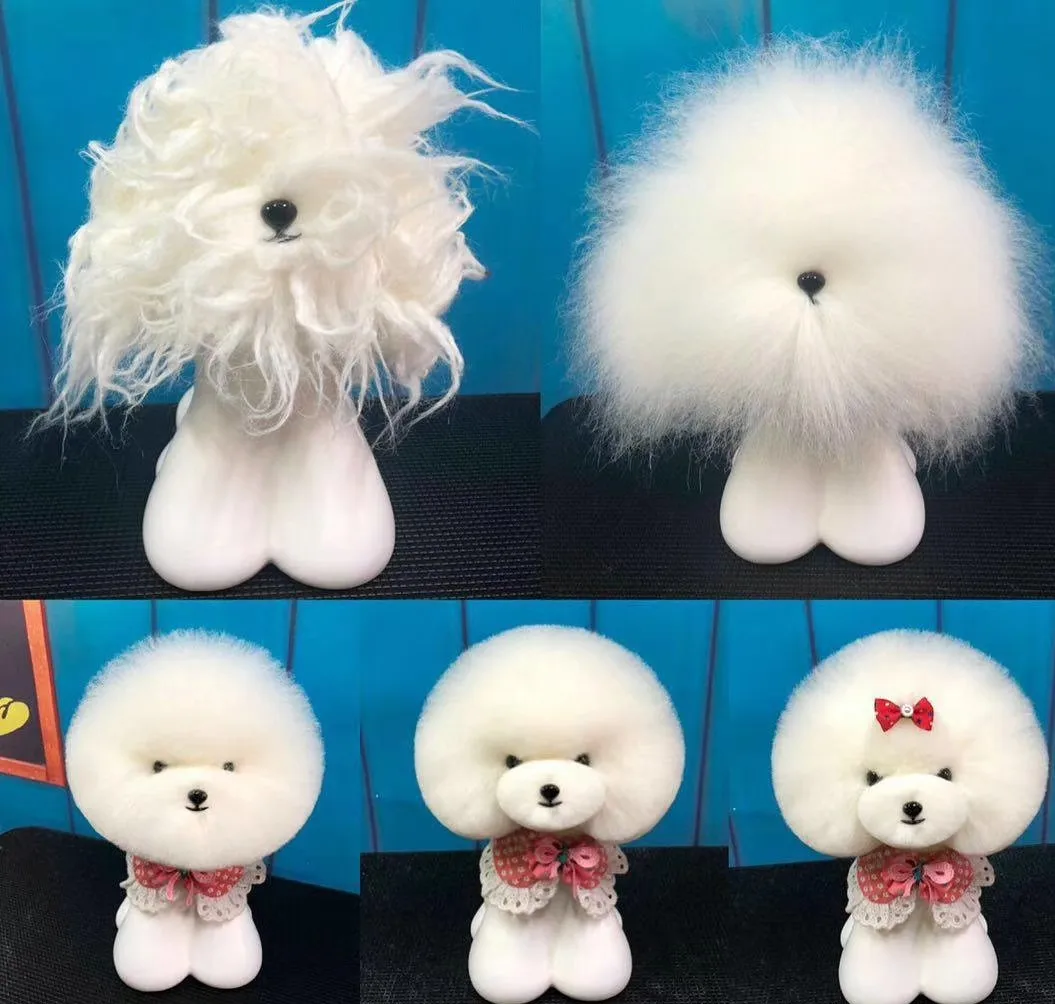 Imagem -03 - Teddy Bear Head Manequim para Pet Peruca Cabeça de Cachorro Livre Acessórios para Cães Grooming Goomers 10 Pcs 1pc