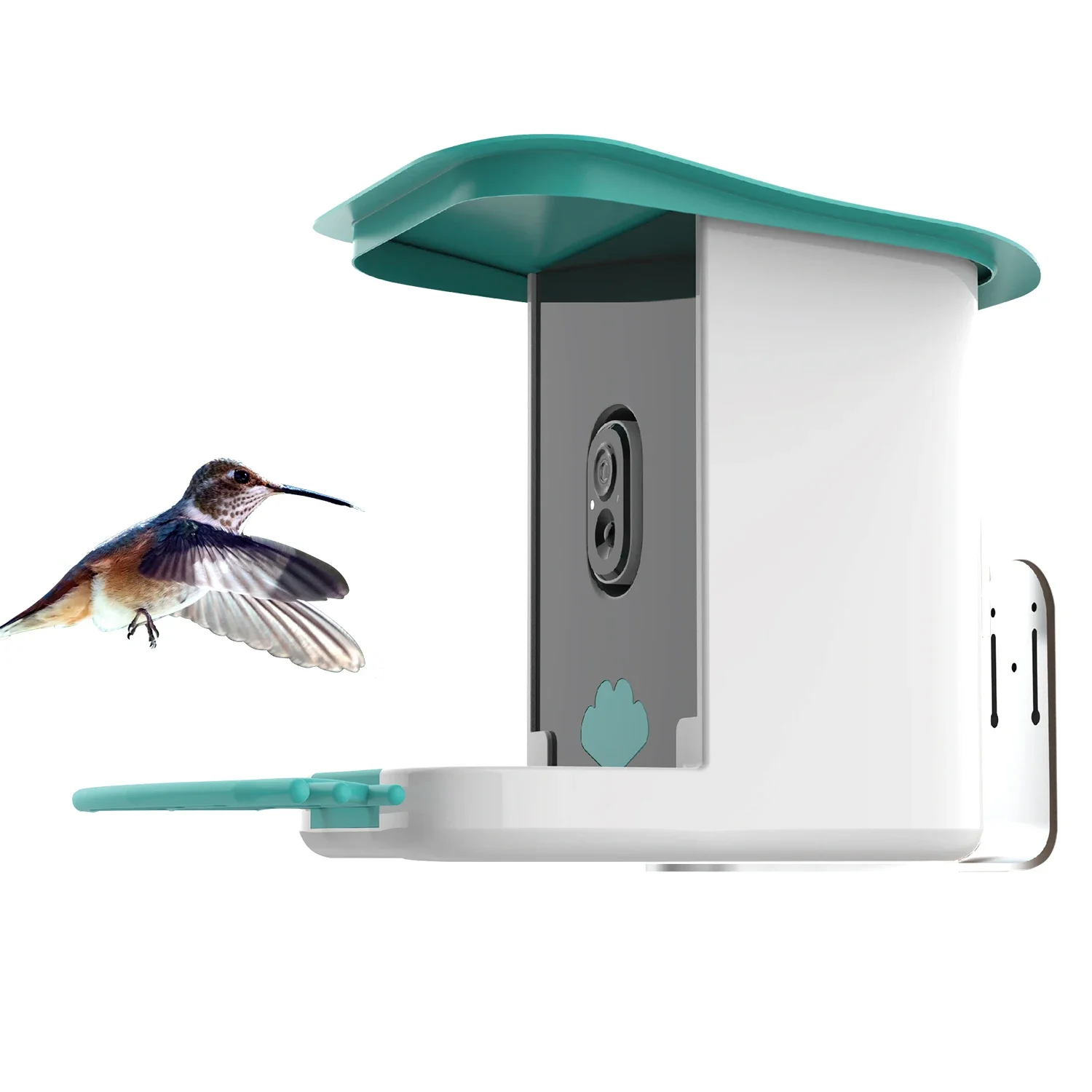 Auto Capture Bird Video And APP Notify Smart Bird Feeder With 1080P Camera