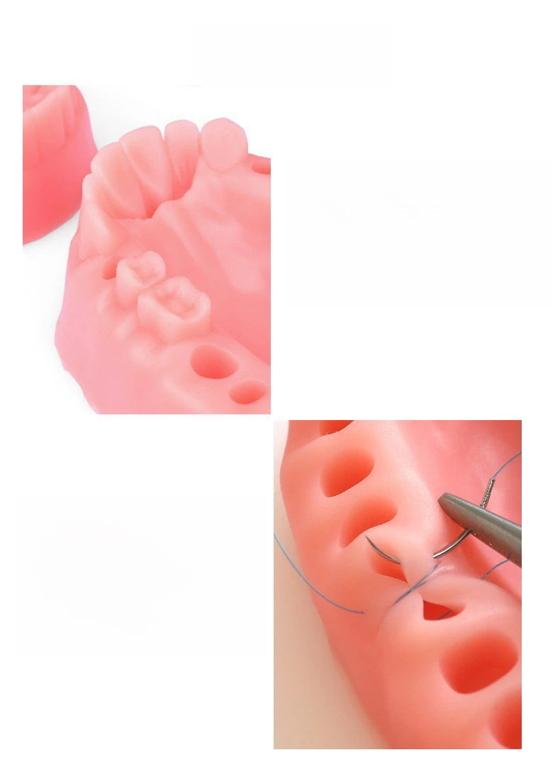 Medical Oral Tooth Simulation Suture Training Block Silicone Suture Pad General Surgery Suture Contact