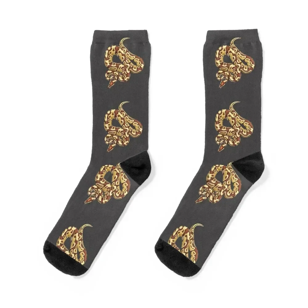 

Ball Python Monarch Morph Socks tennis sport Sports Woman Socks Men's