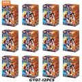 GV07-12PCS