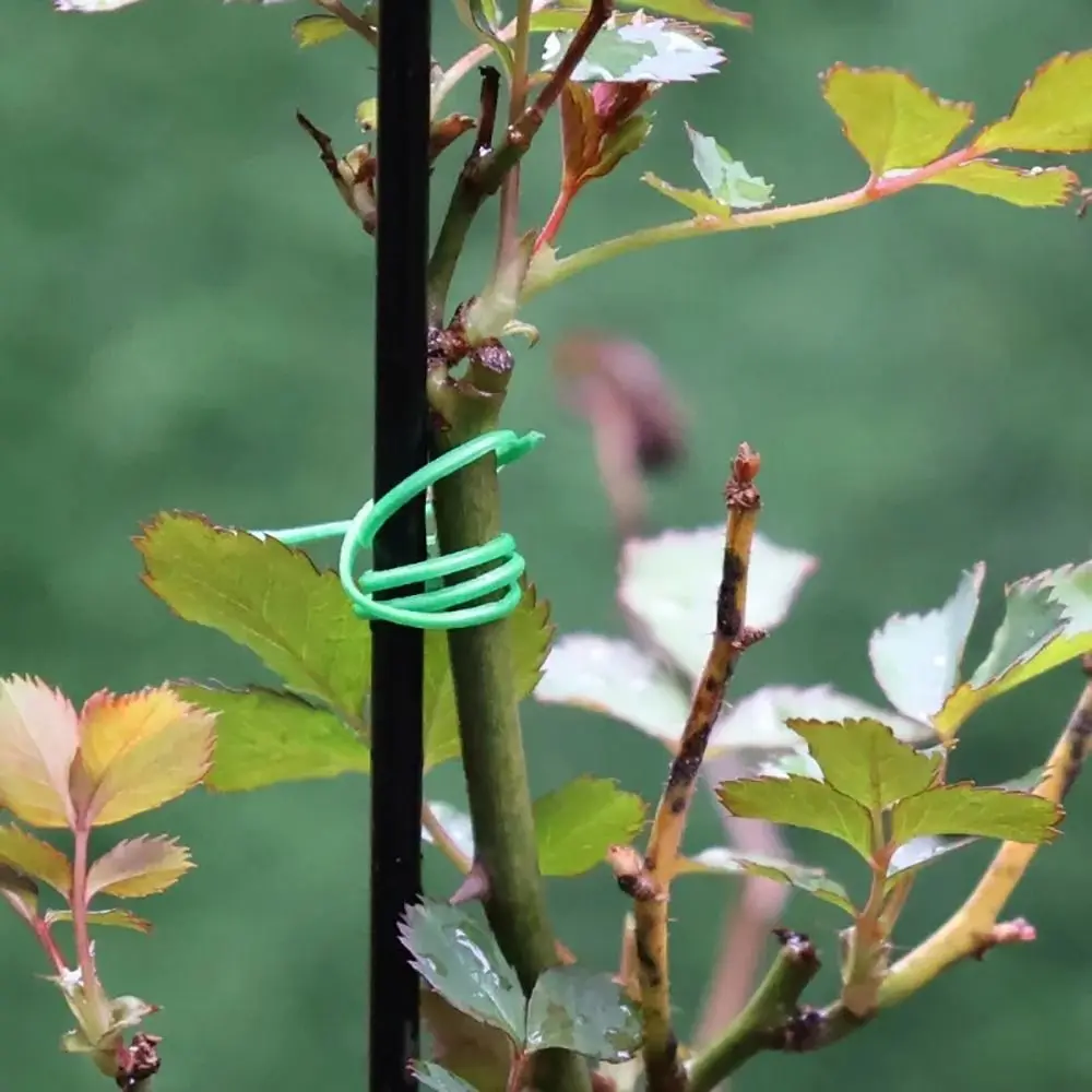 1Pcs Iron Wire Cable Ties Plant Bundle Iron Wire Multifunctional 20/30/50/100M Garden Twist Ties Reusable Strapping Self-cutting