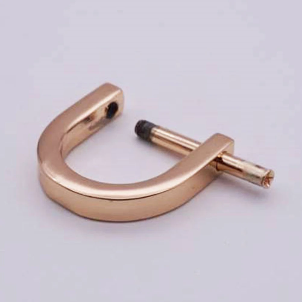 

10Pcs D Buckle Stainless Steel Screw Shackle Mooring Buoy Craft Accessories Luggage Accessories