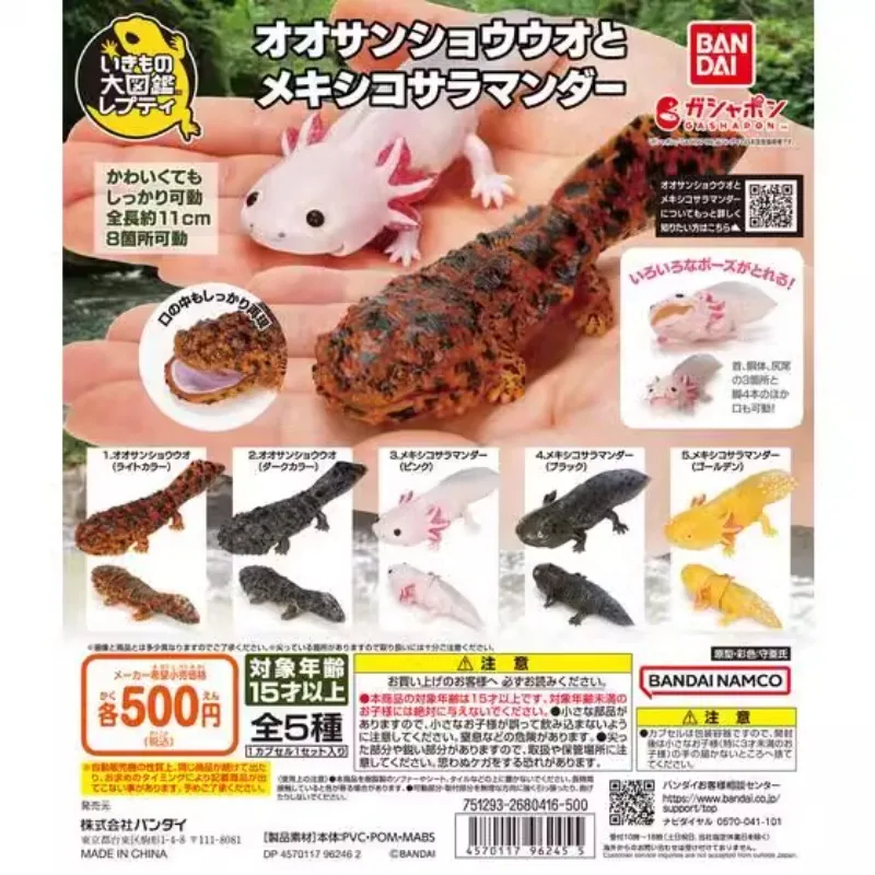 

Bandai Original Gashapon Kawaii Cute Anime Great Nyonne Salamander Pepper Fish Axolotl Figure Gachapon Capsule Toys Models Gift