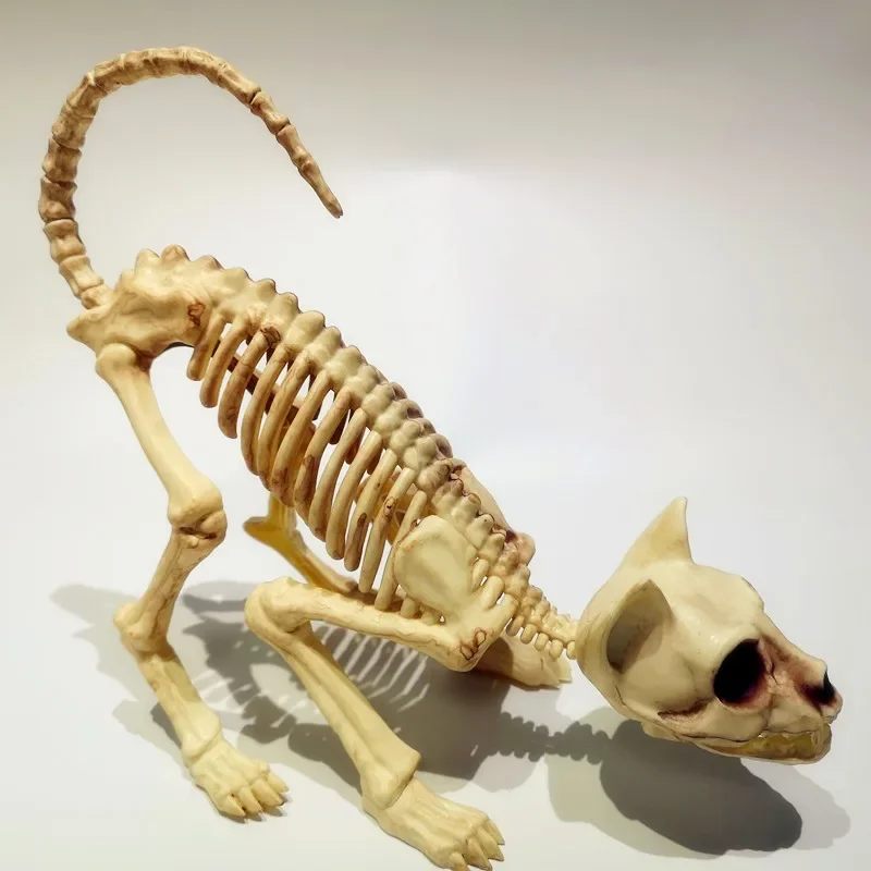 Kreative Halloween gruselige Skelett dekoration hockende Katze Skelett Katze Schädel Modell gruselige Tierknochen für Vampir Party Trick