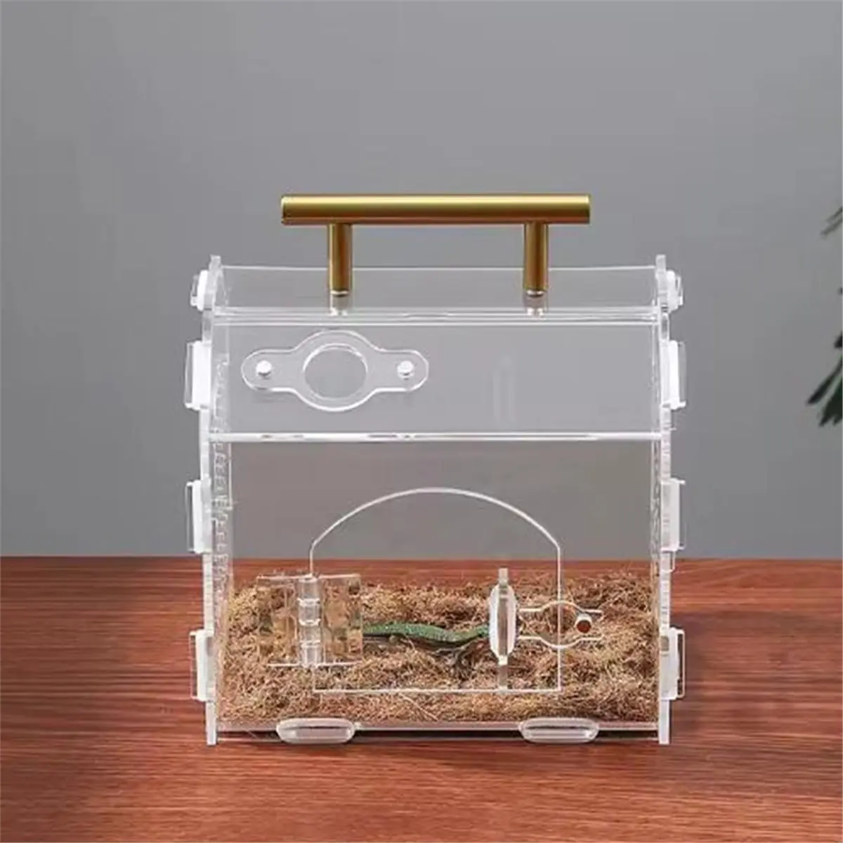 2026 Trend Transparent Garden Reptile Breeding Box Piece Acrylic Terrarium Habitat