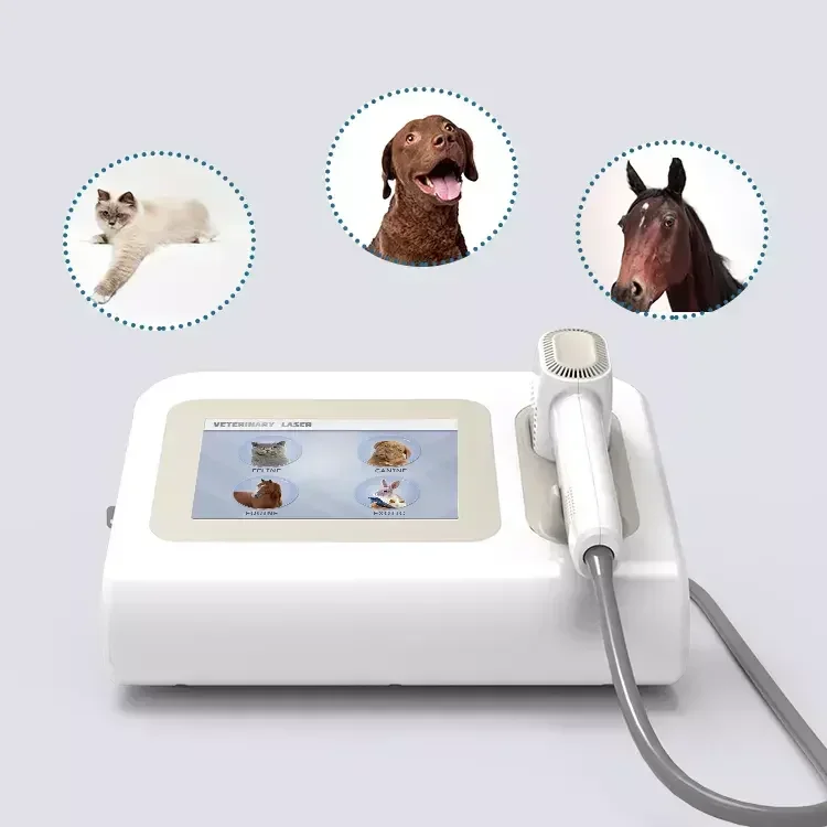 For Horse Dog Cat Therapy Equipment Class 4 Therapy Veterinary 10W 980Nm Pet Therapeutic