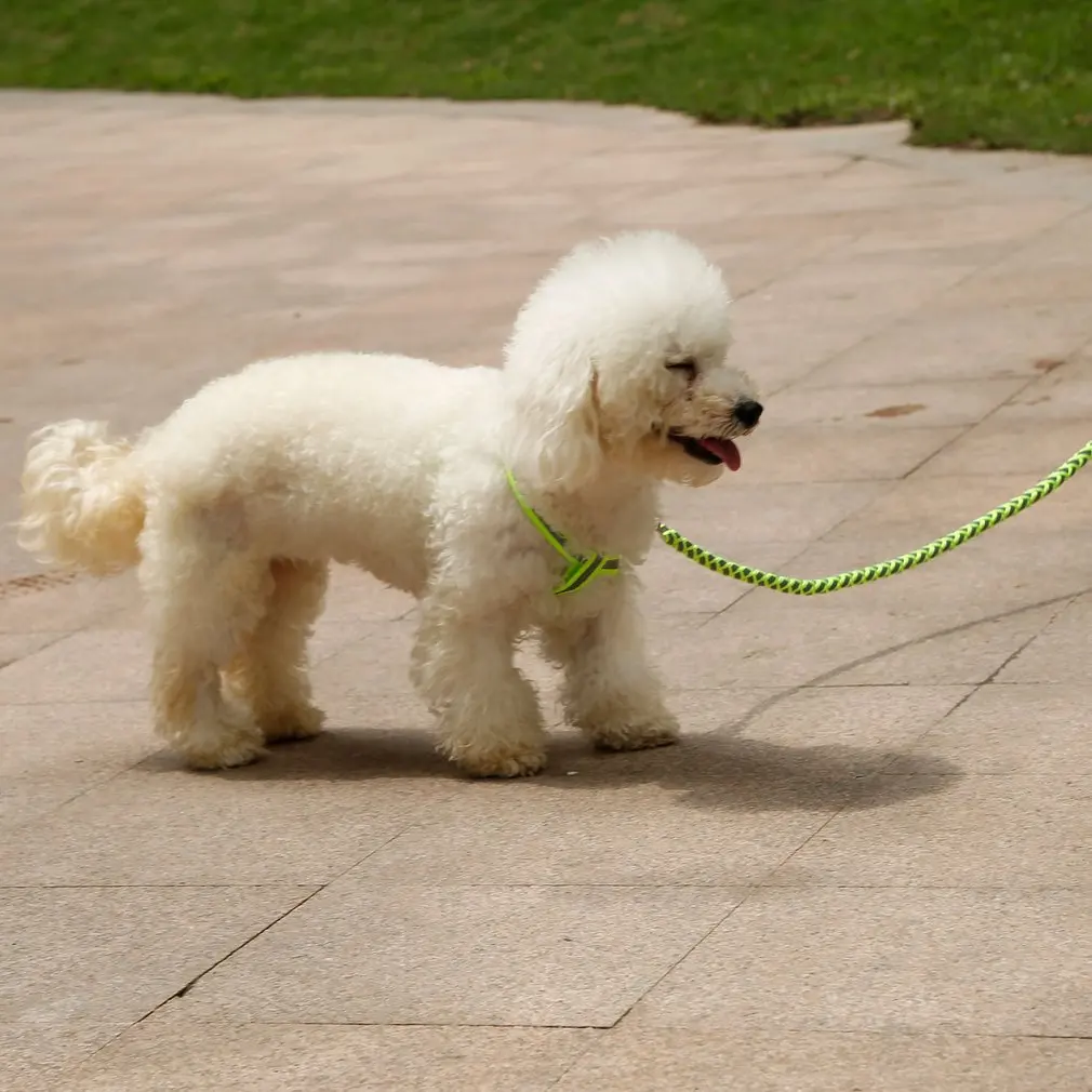 Reflective Nylon Leashes Pet Dogs Chain Traction Rope Leads for Running Free Hands Rope Chain for Small Large Dogs