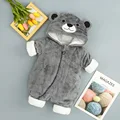 Oso Gris