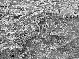 

COF&4,4''-(1,4-фениленез (этин-2,1-дирил))dibenzaldehyde