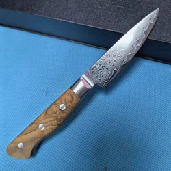 3.5 Inch Paring Knife Olive Wood Handle 67 Layer Damascus 10Cr15MoV Steel Blade Sharp Cleaver Boning Kitchen Knife Cooking Tools