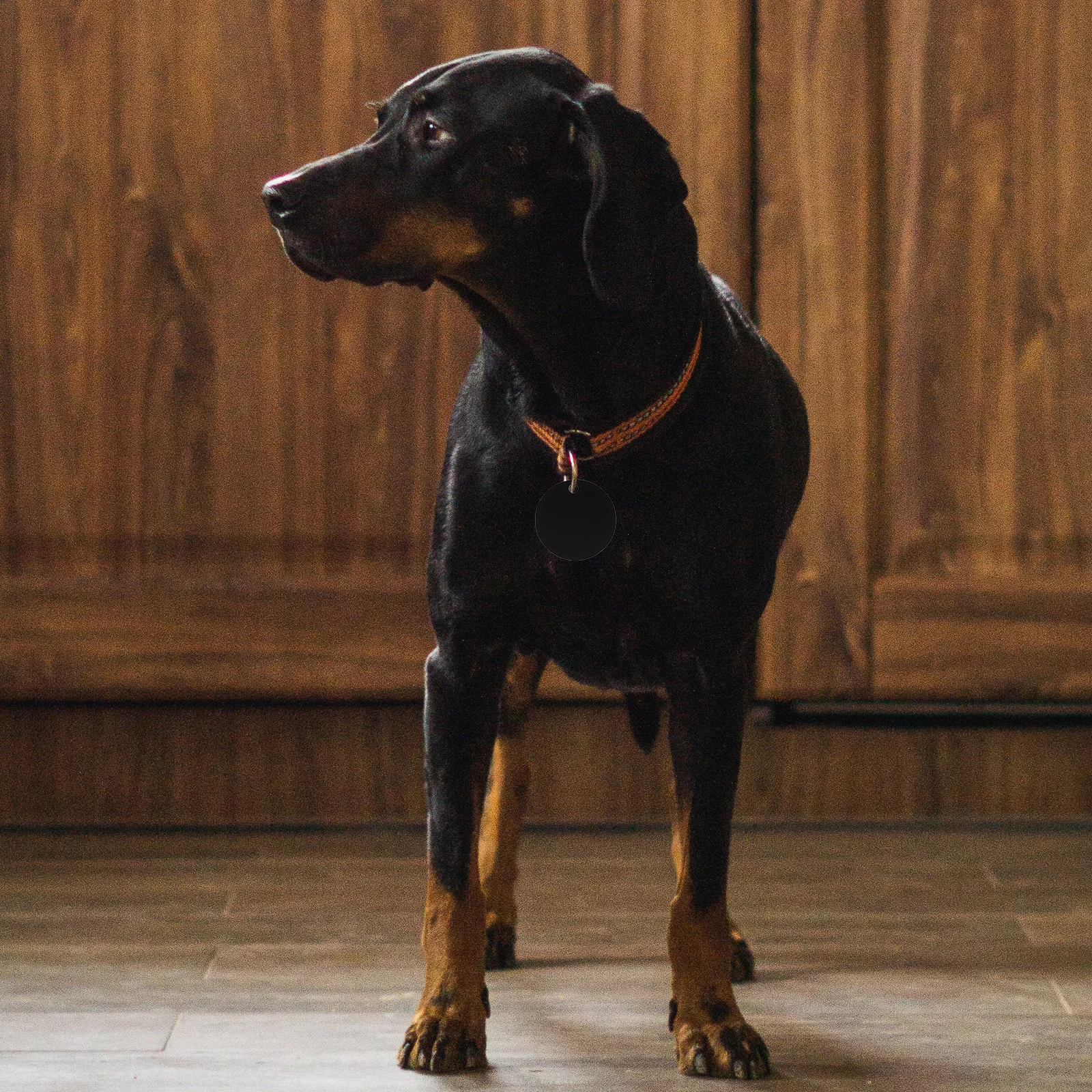 

25Pcs Round Aluminum Blank Tags DIY Engraving Pet Id Name Tags Dog Cat Collar Pendant Dog Tag Blank Aluminum Round Pendant