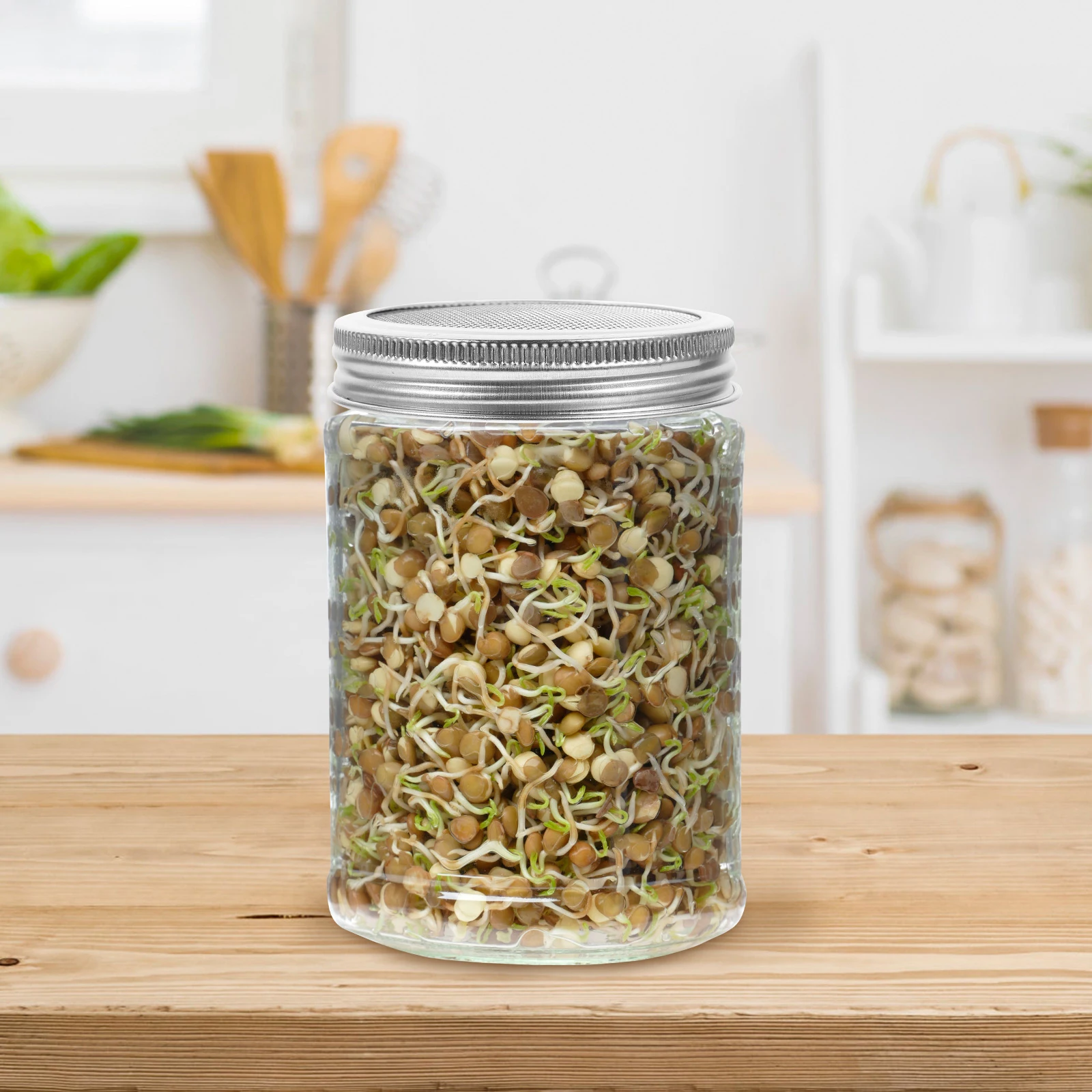 

9 Pcs Stainless Steel Sprouting Lids for Wide Mouth Mason Jars Germination Filter Strainer Kitchen Accessories