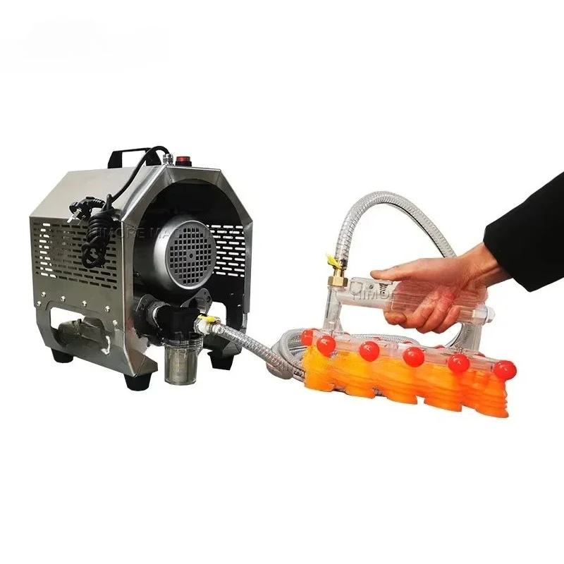 

Vacuum Pump Lifter To Transfer Eggs Vacuum Egg Suction Lifter Machine