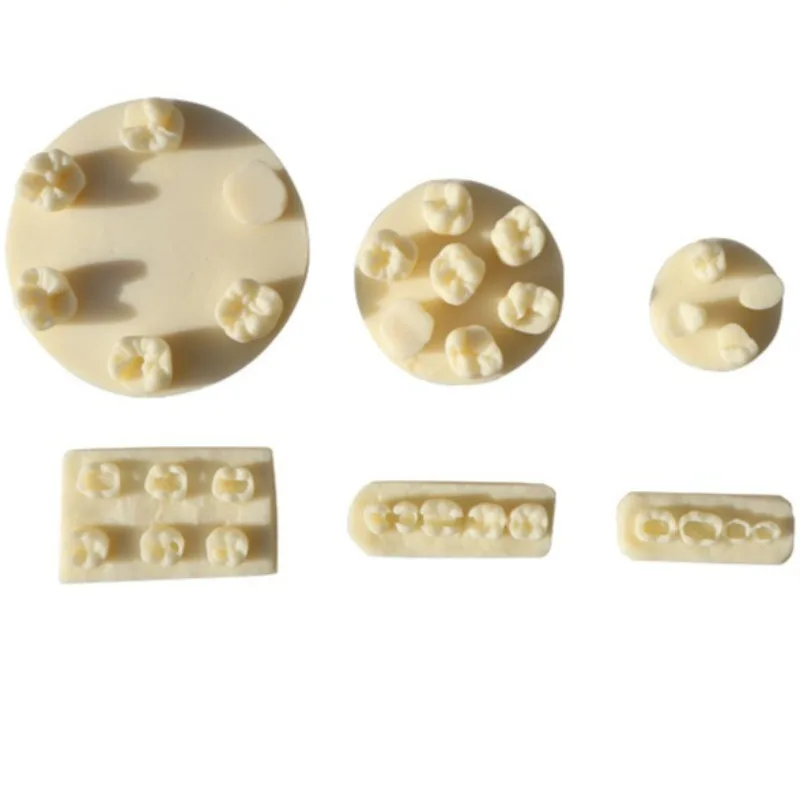 

12Pcs Dental Resin Filling Practice Model Dental Form Stacked Tooth Filling Practice Model Front Teeth and Rear Teeth Model