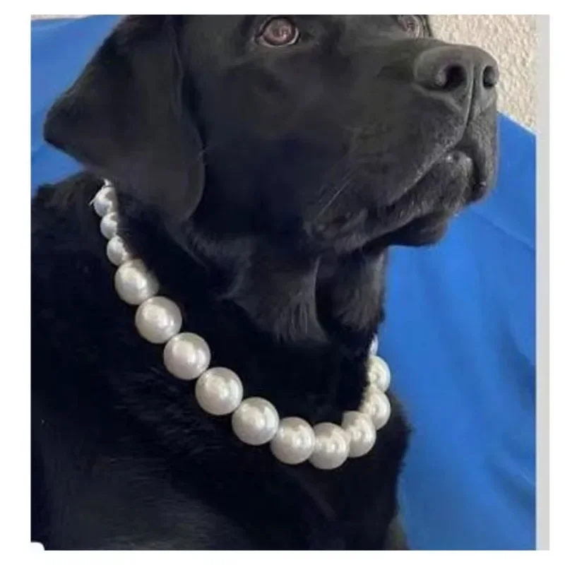 Luxury Pearls Dog Collar Necklace Fashion Wedding Party Grooming Accessories Adjustable Necklace Jewelry for Small Dogs Cat