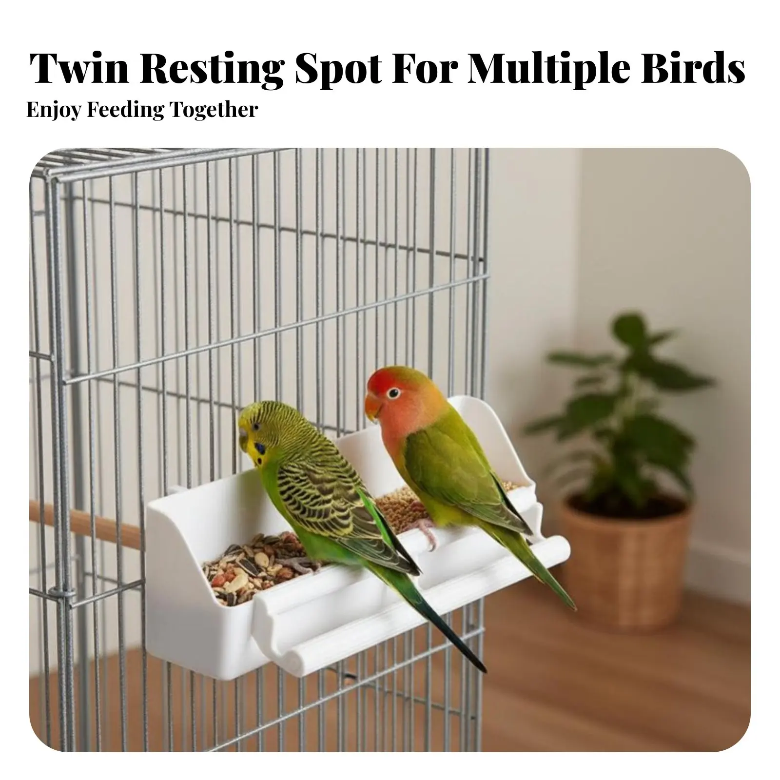Two-Compartmentcompartment Nourishmenting Box Hanging Type Avian Food Trough Easy Installation Unified-Piece Design