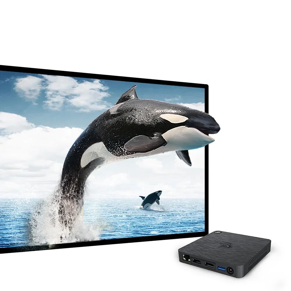 Mini Pc Beelink T4 …