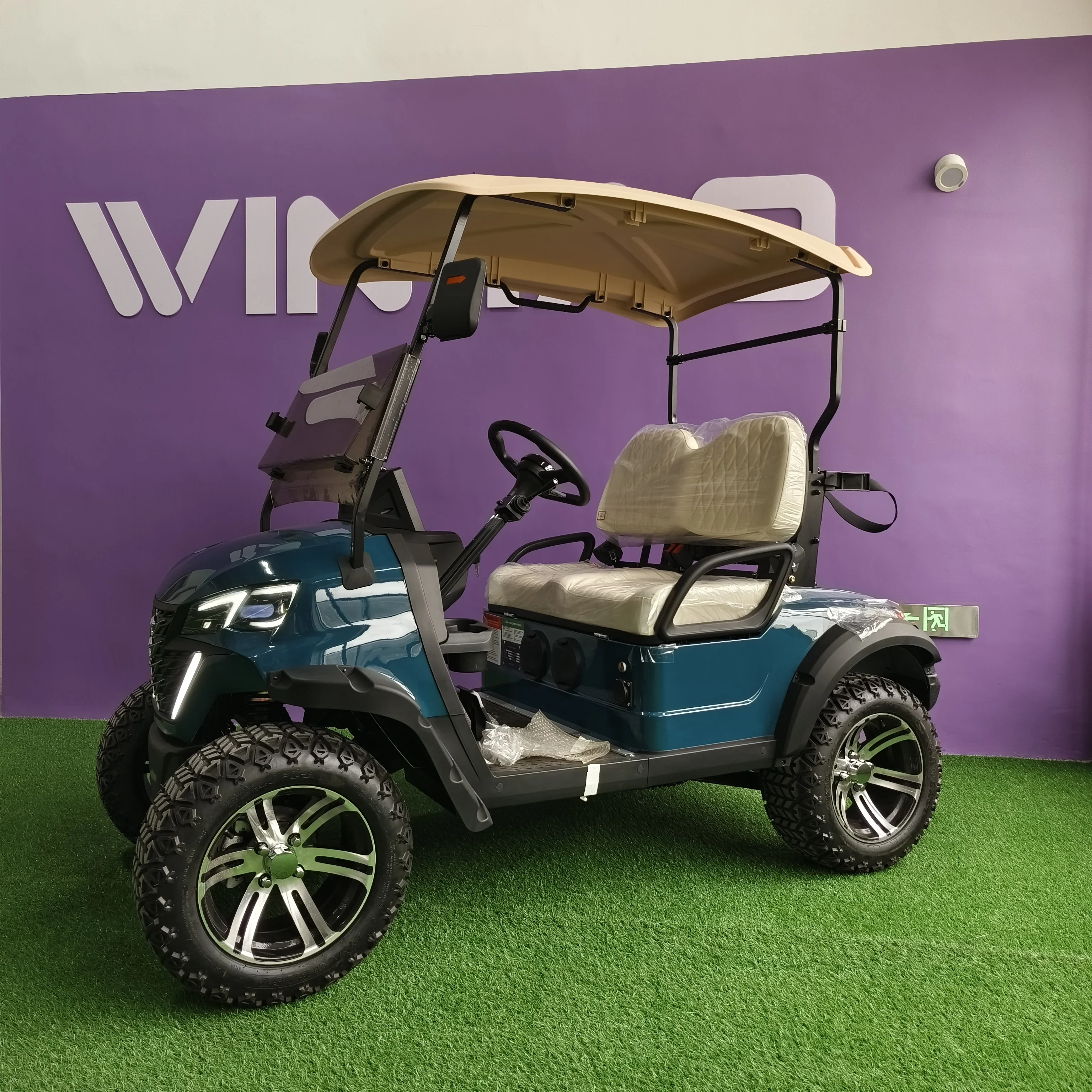 High Quality 48V Wintao  Electric Golf Cart 12 Inch Family Electric Tricycle 4 Wheel mobility scooters golf carts