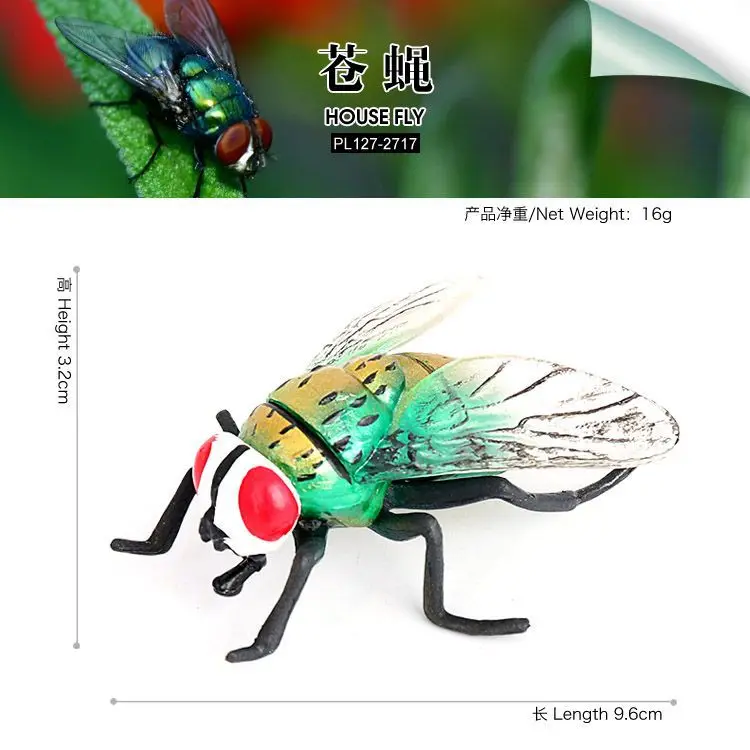 Simulated insect solid animal model fly, goldfly, mercerized green fly, fly, children's enlightenment cognitive model ornament