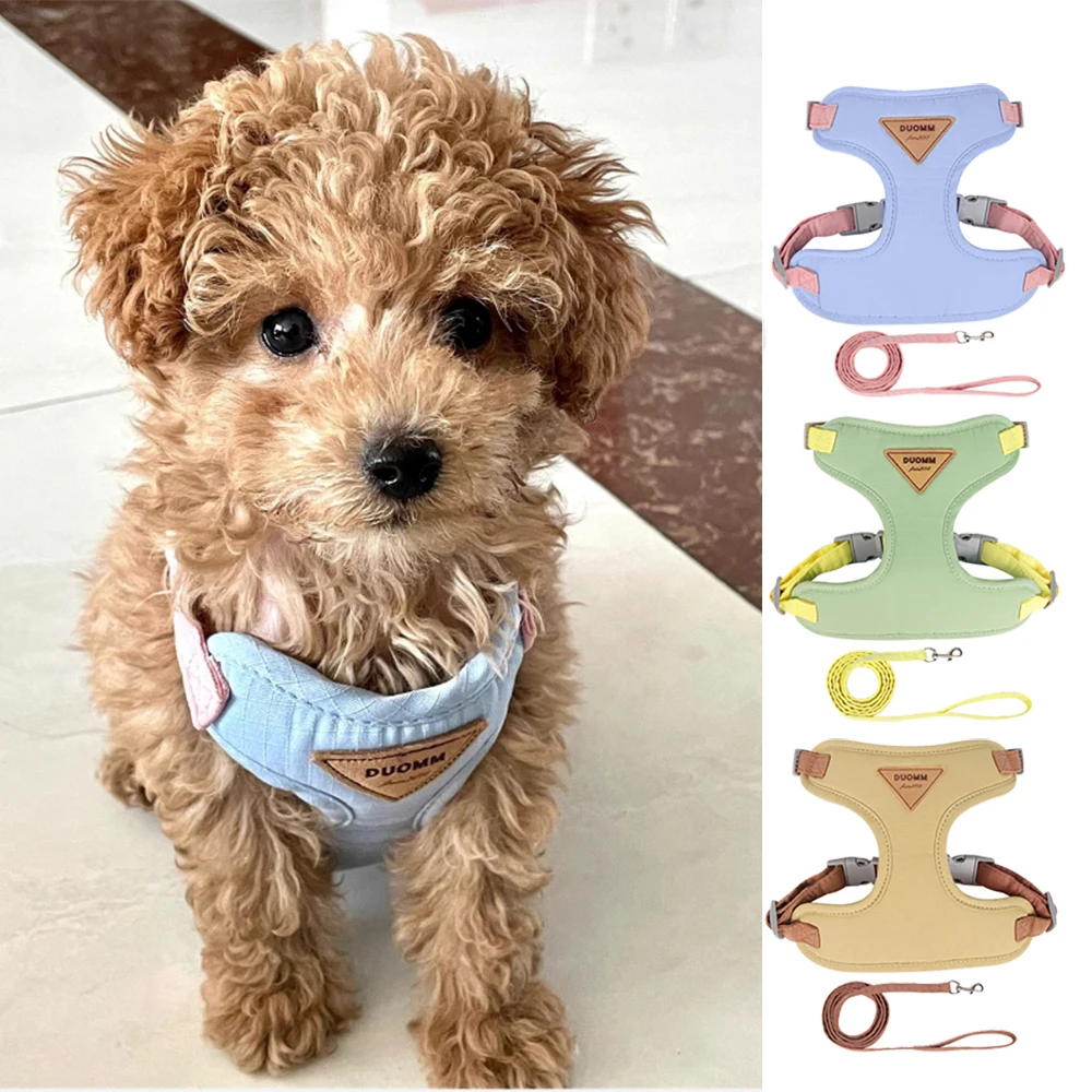 

Dog Harness Set for Puppy, Adjustable Breathable Mesh Pet Harness with Leash Ring, Easy Walk Training Vest