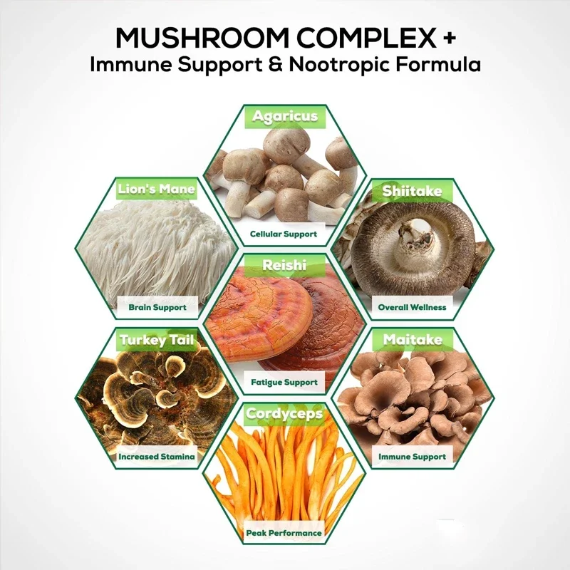 10 Mushroom Compound Mixtures - Lion Mane, Lingzhi, Turkey Tail, Cordyceps, Etc. - Memory, , Immune Support