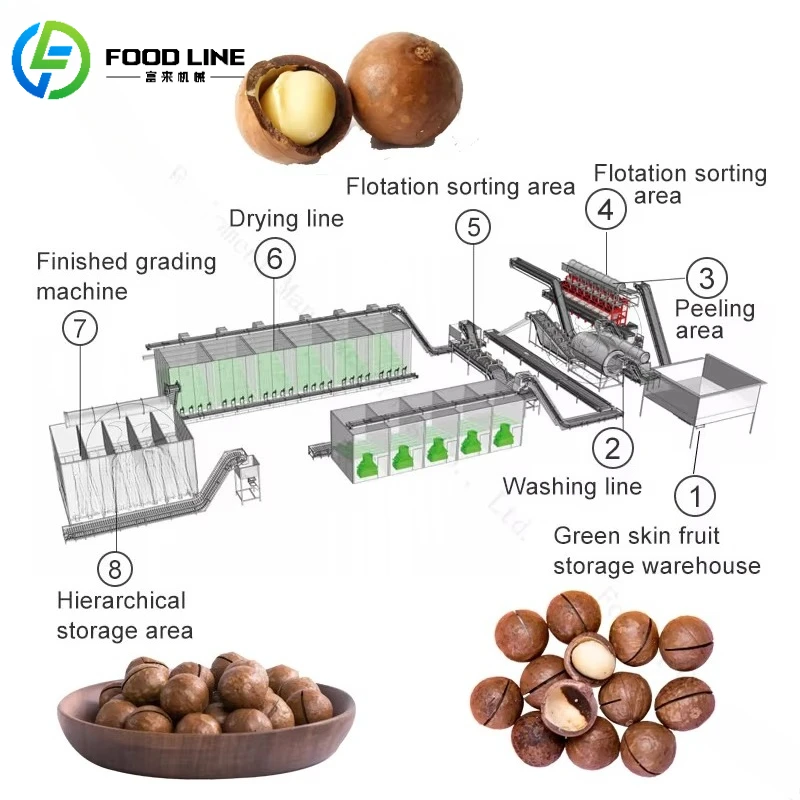 Área de clasificación de flotación Área de pelado Línea de producción de procesamiento primario de nueces de macadamia Máquina descascaradora de enjuague de nueces