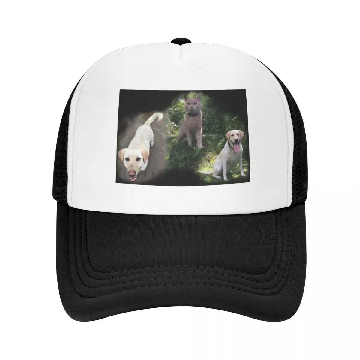 

Awww Baseball Cap Horse Hat Custom Cap Rugby Women Men's