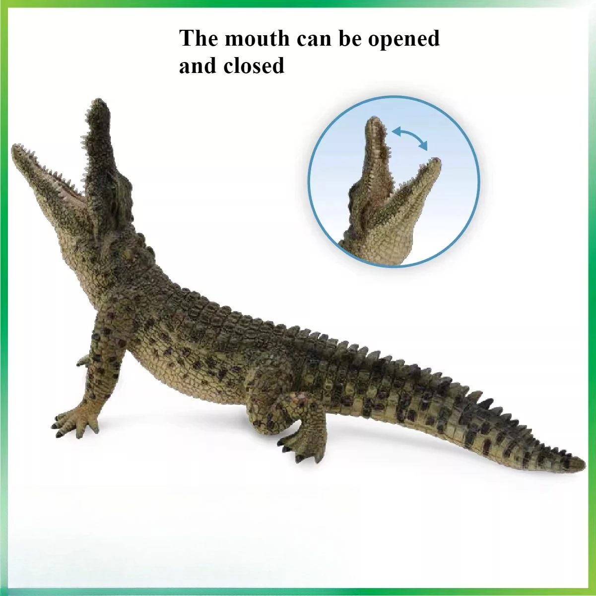 الحيوانات البرية محاكاة لعبة مجسمة النيل التمساح الأمريكية قصيرة Snouted التمساح الشعور المادي يمكن أن يكون لعبة مجسمة العملي #3