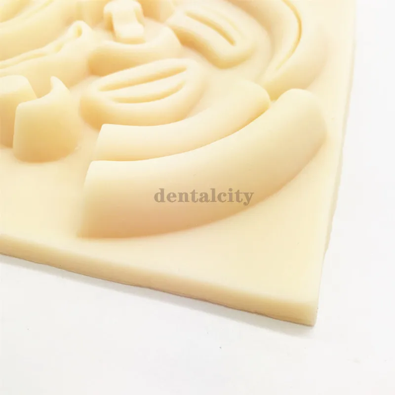 Laparoscopic Simulation Stitching  3D Silicone Module Surgical Training Skin Suture Pad Soft Lifelike for Teaching Demonstration