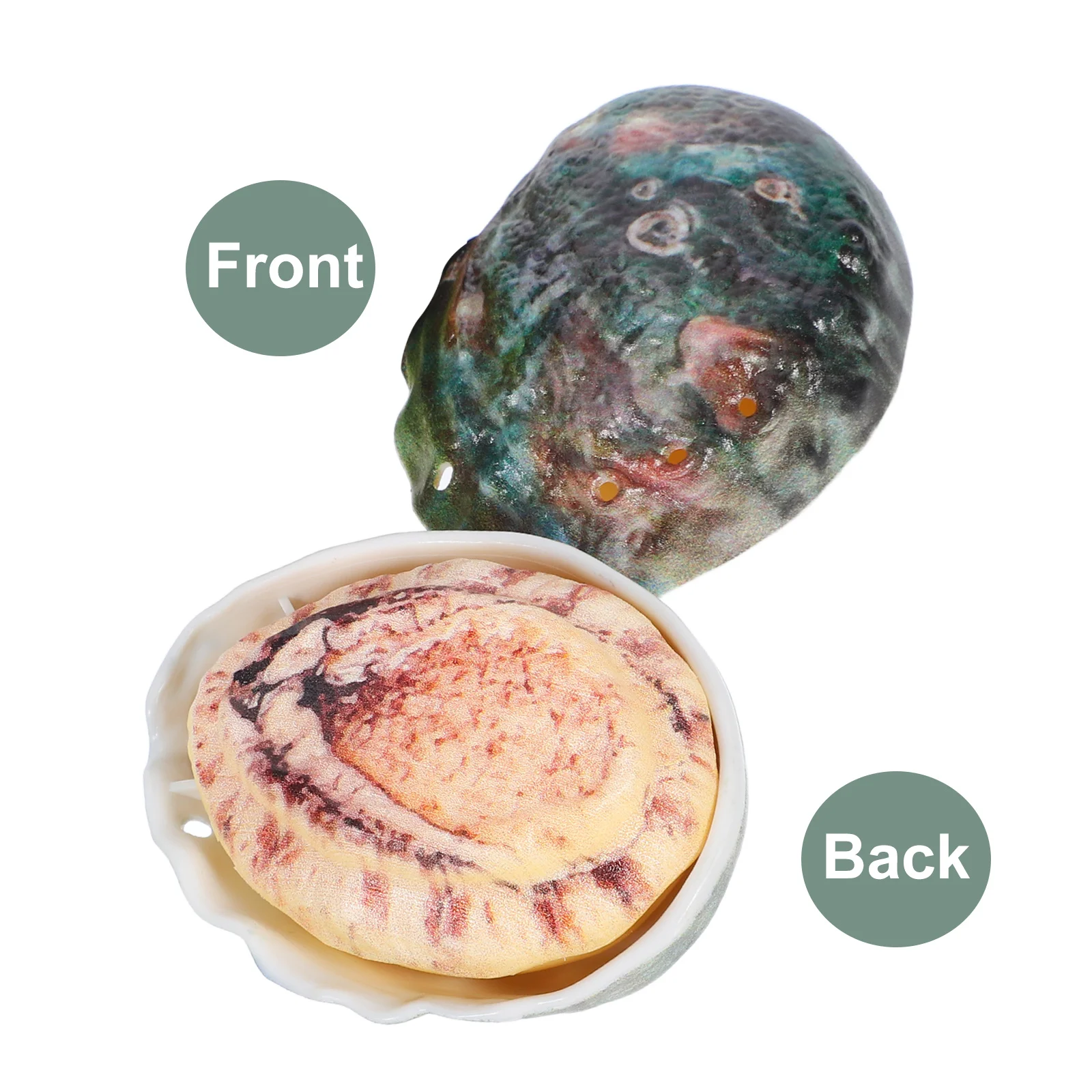 4Pcs Abalone Press Water Gun Squirt Design for Kids Outdoor Play Pool Beach Summer Fun Durable Lightweight Water Sprayer