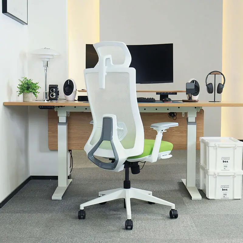 

Adjustable Lift Ergonomic Office Chair Task Comfortable European Computer Gaming Ergonom Chair With Ice Mesh Fabric
