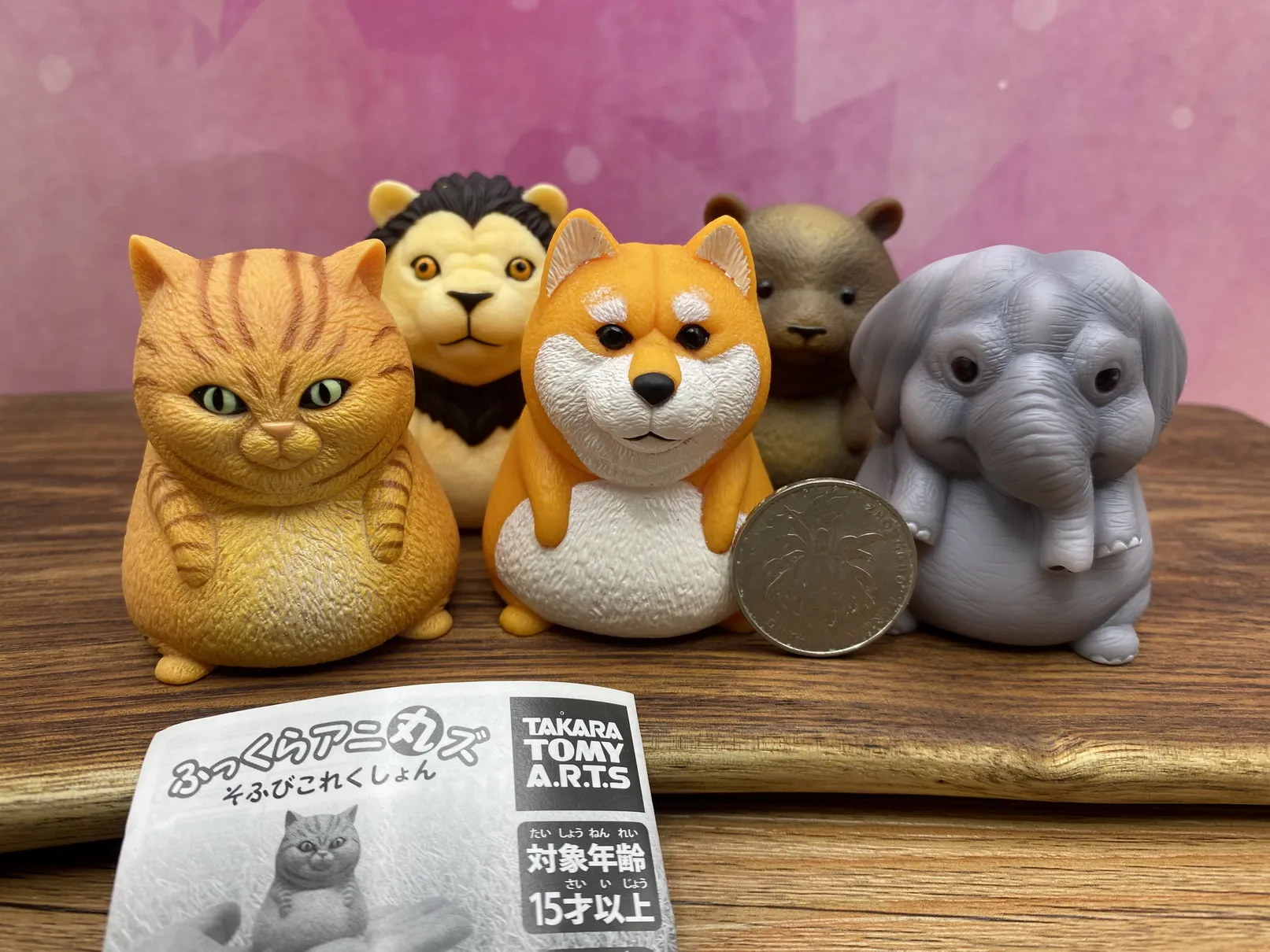 Legitimate TAKARA TOMY Cat Lion Elephant Dog Bear Fat Dudu Chubby Plump Animal Decoration Twisted Egg In Stock