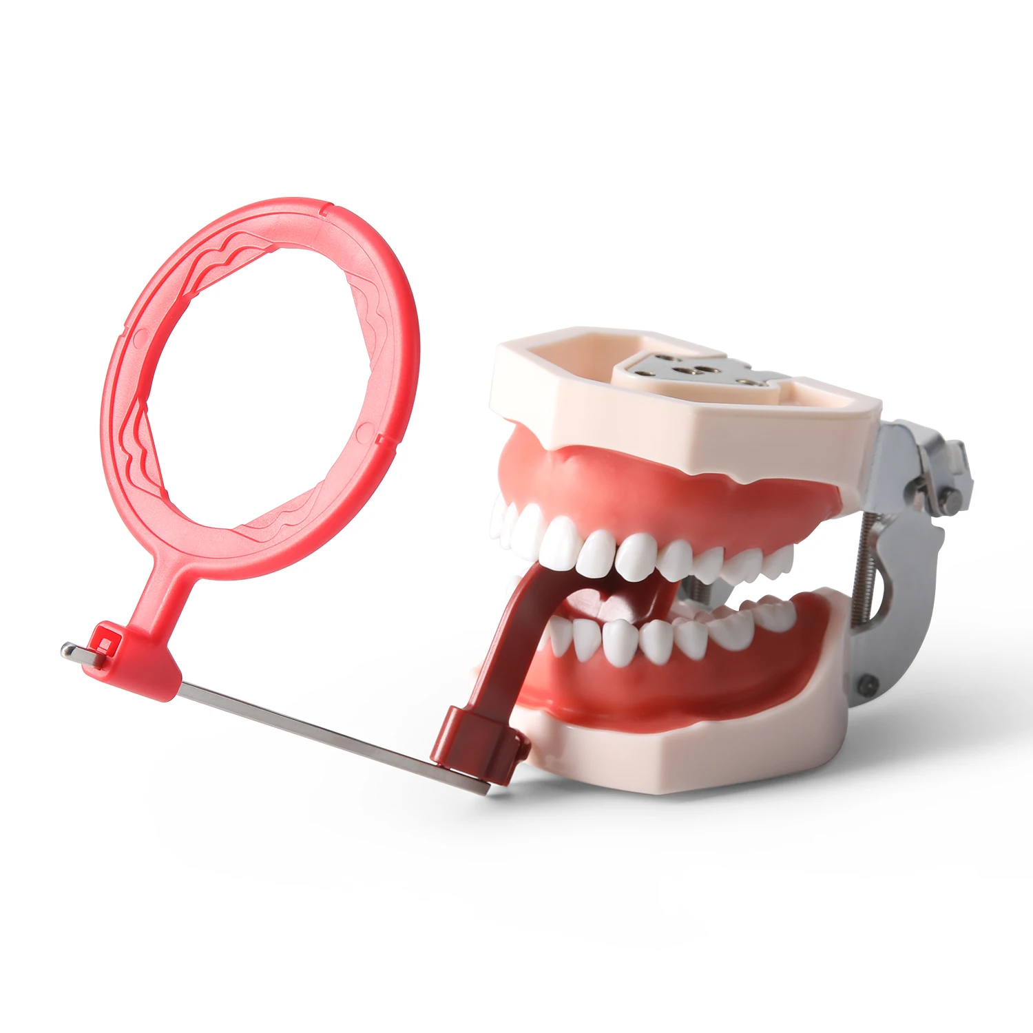 AZDENT Dental Intraorales Röntgen-Positionierungssystem Digitaler Sensorhalter Radiografie-Ring Ausrichtungsvorrichtung Positionierer Autoklavierbar – Detail 8