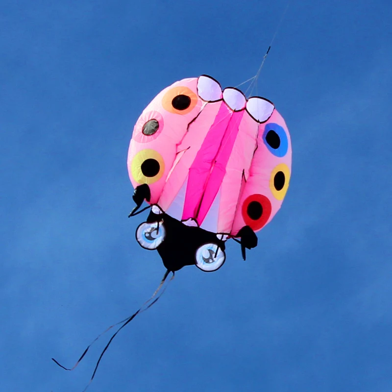 てんとう虫凧 大型ソフトカイト 屋外飛行玩具 大人用インフレータブルカイト 飛行玩具 カイトサーフィン 3Dカイト セルフボラント