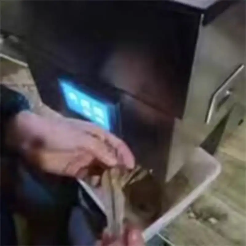 

Stainless Steel Electric Tiger Prawn Hairy Shrimp Back Cutter Shrimp Iine Removing Machine