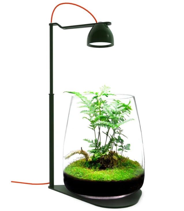 

MicMol Micro-Scenery Ecological Lighting. Brand New-- DROP Desktop Micro-Scape