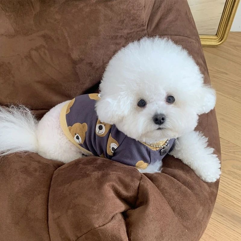 Autumn Teddy T-shirt Pet Bottoming Shirt Warm Puppy Clothes than Bear Soft Two-legged Clothing Cartoon Bear Pattern Dog Clothes