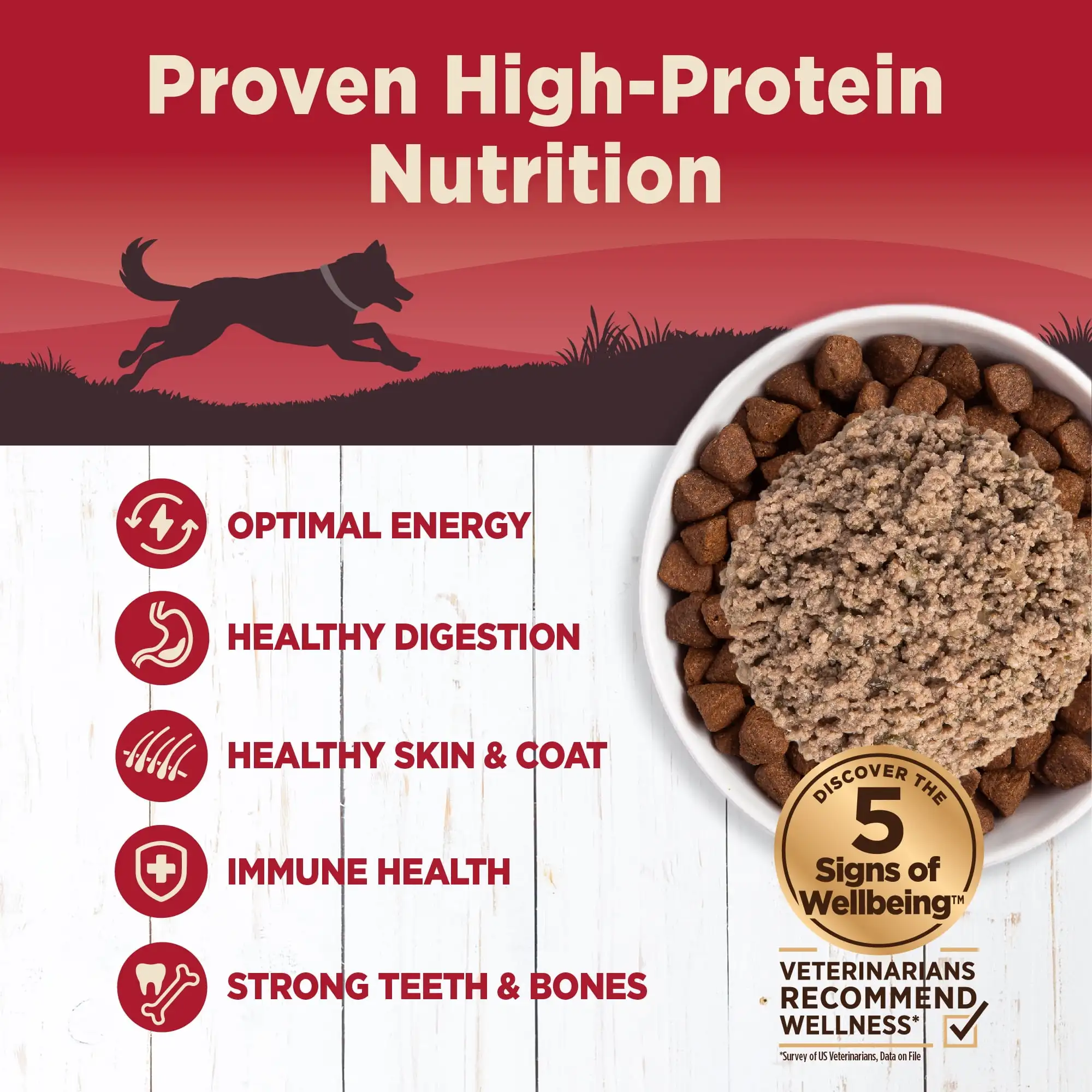 Wellness CORE Cibo per cani in scatola naturale al 95% senza cereali bagnati, manzo e carote, lattina da 12,5 once (confezione da 12)