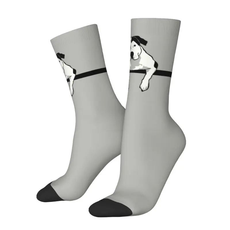 Fashion Pit Bull Terrier T-Bone Graphic Socks Women Men Warm 3D Printed Sports Football Crew Socks