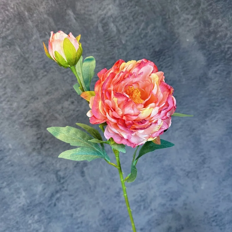 2 Heads Retro Burnt Edge Peony Flower Artificial Silk Flowers Fake Flowers for Home Party Wedding Event Decor Photography Props