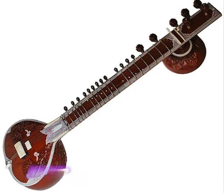 Musical instruments, sitar, sitar, professional hard case