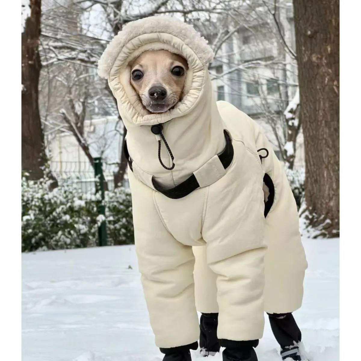 #5 Pet Winter Clothing Comparison Guide