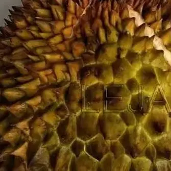 Small Manual Durian…