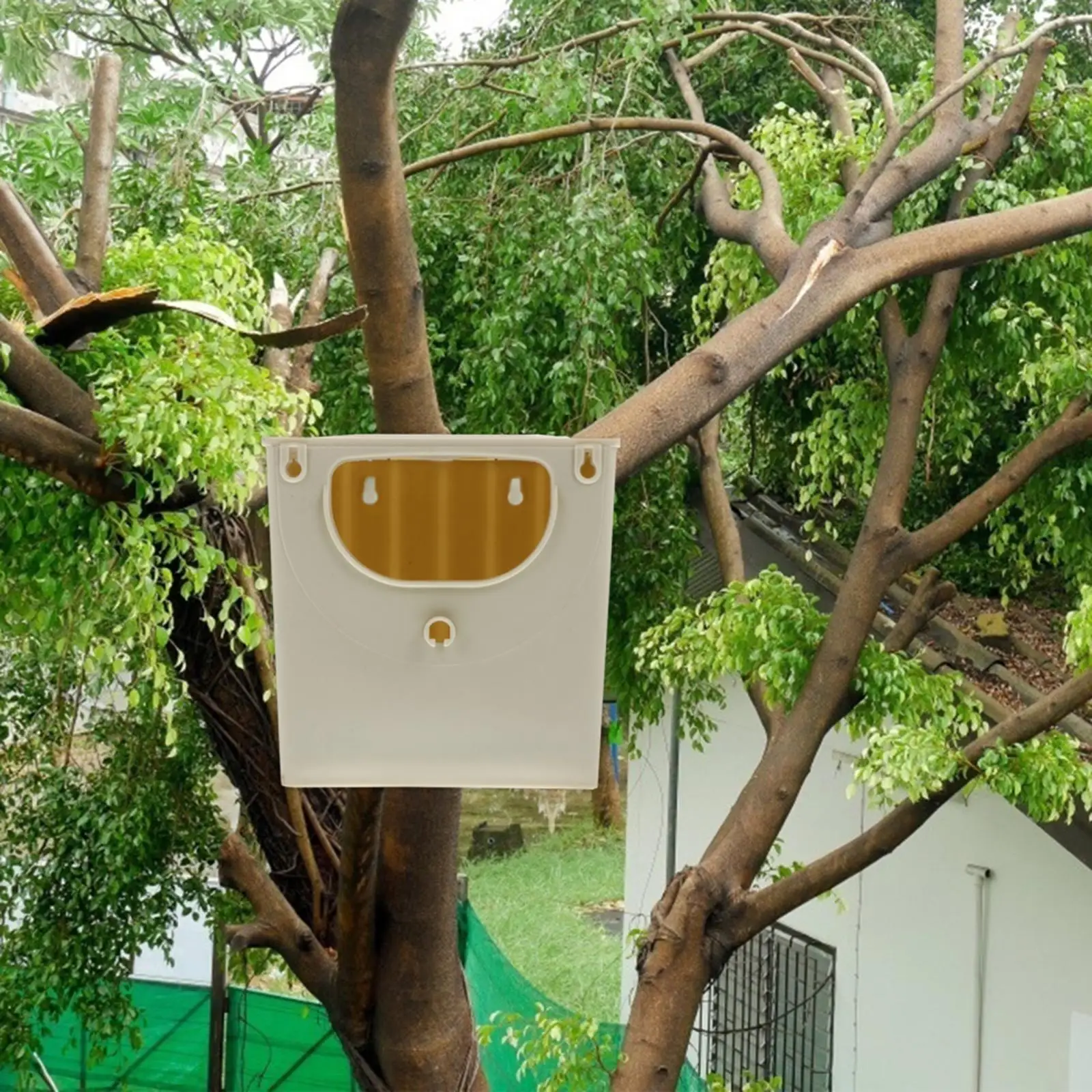 Thumbnail 4 - #52 Compare Birdhouses Before You Buy