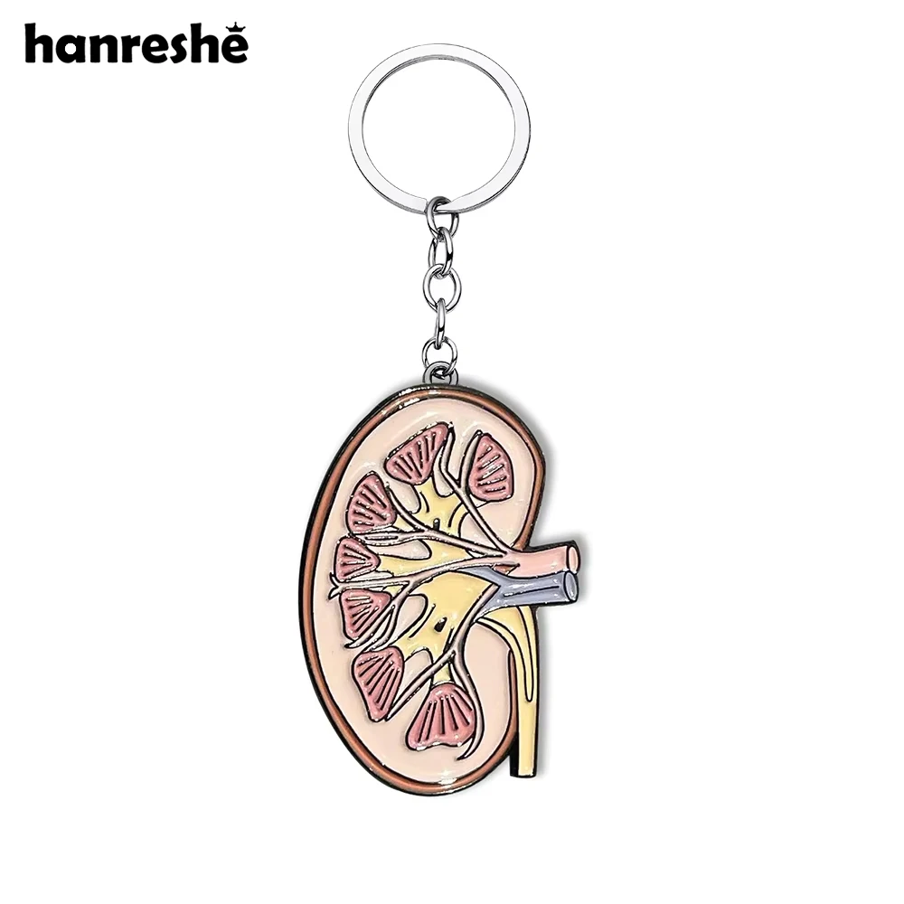 Hanreshe Medical Kidney Organ Keychain Anatomy Urology Jewelry Enamel Pendant Key Chain for Doctor Nurse Medicine Student