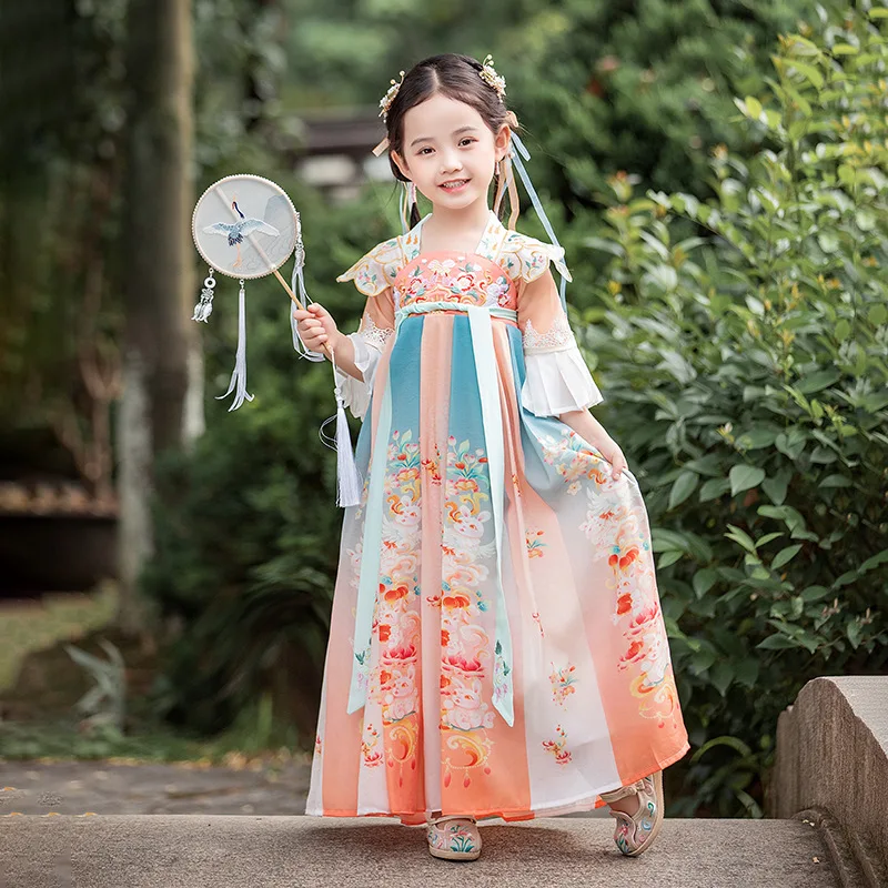 

Chinese Style Kids Fairy Rabbit Embroidery Dress Spring Summer Girls Children Cosplay Costume Dance Hanfu