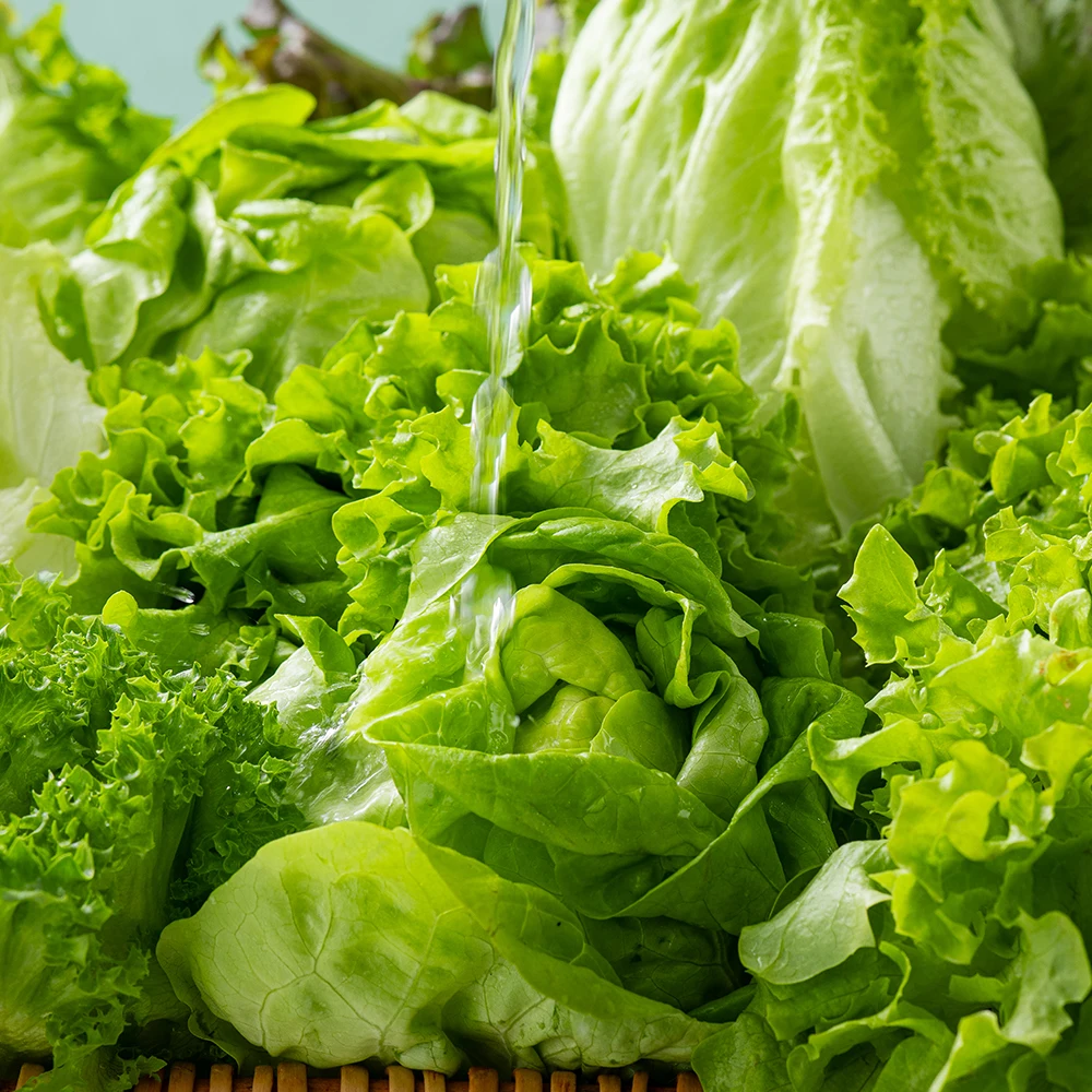 مزيج سلطة أوروبية معتمدة من الفجوة 5-6 أنواع 1 كجم 2 كجم